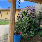 Orchidea Con Bagno Privato *