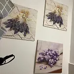 Orchidea Con Bagno Privato Castellero