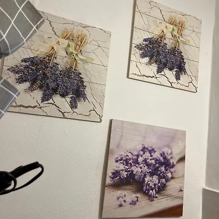 Orchidea Con Bagno Privato Castellero