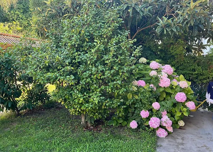 Privata Orchidea Apartamento Castellero